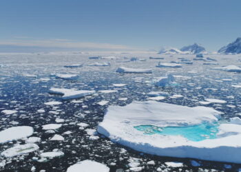 El Niño’s Impact on Agricultural Commodity Prices